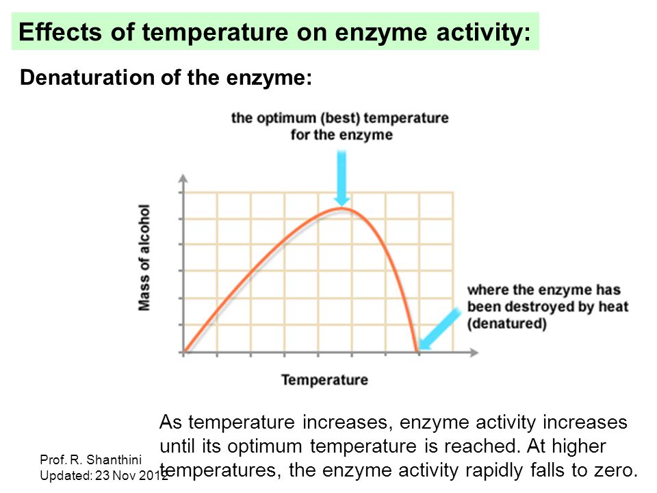 Effect of temperature on chemical weath